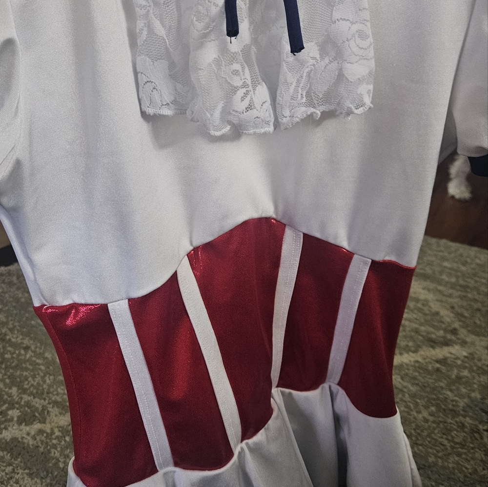 Mary Poppins inspired Ice skating dress - Picture 3 of 5